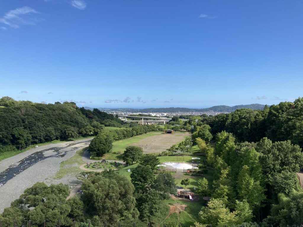 秦野戸川公園　つり橋からの風景